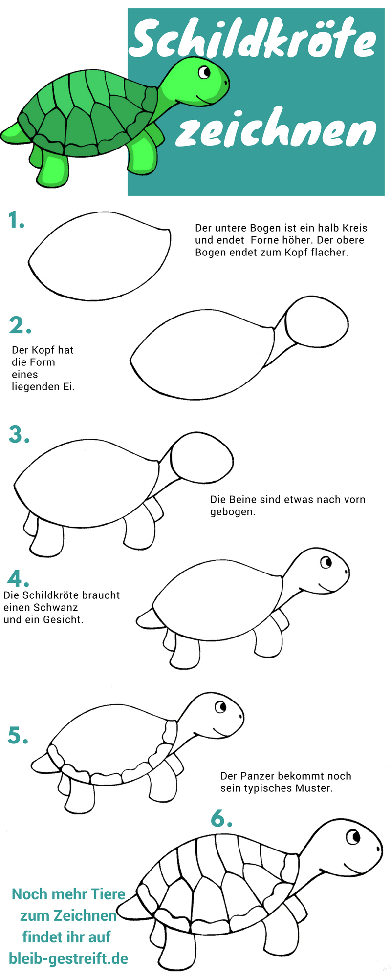 Schildkröte Zeichnen Lernen - Eine Anleitung In 6 Schritten über Zeichen Bilder Für Kinder,