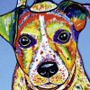 Siegfried2838: Jack Russel Terrier Pop Art - Bild Auf Alu-Verbundplatte bei Leinwandbilder Kinder