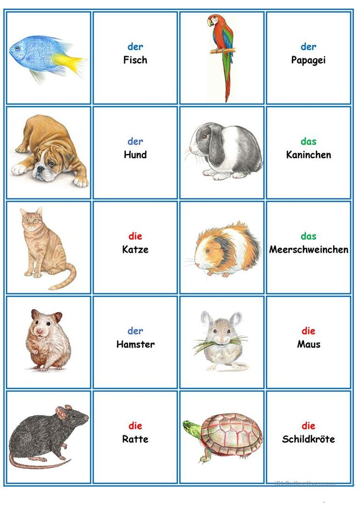 Spiele Im Deutschunterricht: Memory - Die Tiere | Deutsch Unterricht bei Kinder Lernen Durch Bilder