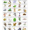 Tiere - Bilderwörterbuch | Deutsch Lernen, Bildwörterbuch, Deutsch mit Kinder Bilder Lernen,