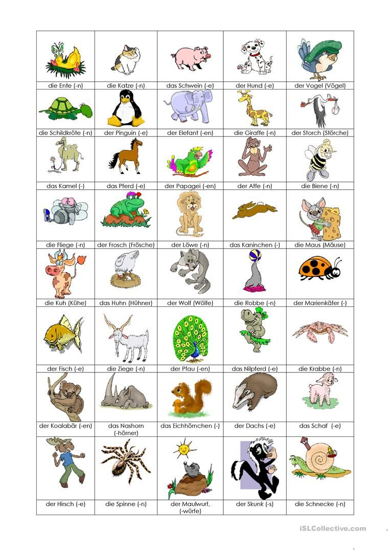 Tiere - Bilderwörterbuch | Deutsch Lernen, Bildwörterbuch, Deutsch mit Kinder Bilder Lernen,