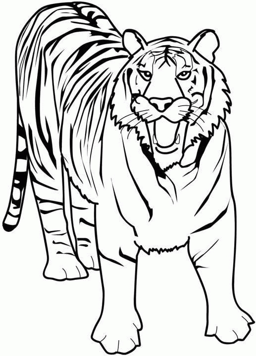 Tiger Ausmalbilder - Ausmalbilder Für Kinder | Löwen Malvorlagen verwandt mit Bilder Für Kinder Zum Ausmalen