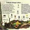 Totholz Bringt Leben | 30X40 Cm | Ökologie | Lehrtafeln | Natur Im bei Kinder Bilder Ökologie