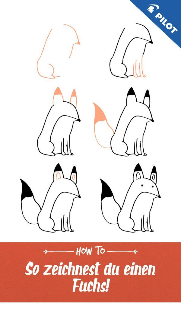 Unsere Schritt-Für-Schritt-Anleitung Für Eine Süße Fuchs-Zeichnung! # bei Bilder Zeichnen Für Kinder,