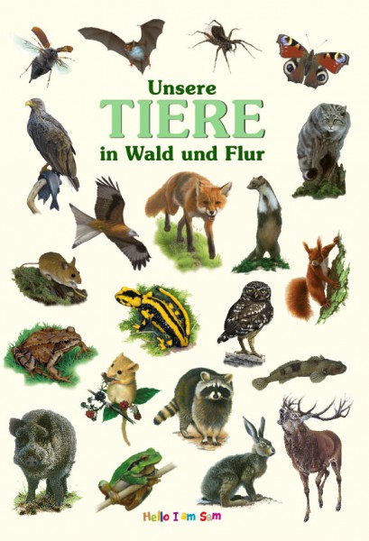 Unsere Tiere In Wald Und Flur - Kinderbuch | Naturbuch Für Kinder über Kinder Bilder Waldtiere