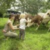 Urlaub Auf Dem Bauernhof In Bad Feilnbach - Bauernhofurlaub Für Kinder innen Bilder Kinder Urlaub