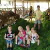 Urlaub Auf Dem Bauernhof | Missen-Wilhams - Luftkurort Im Herzen Des verwandt mit Bilder Kinder Urlaub