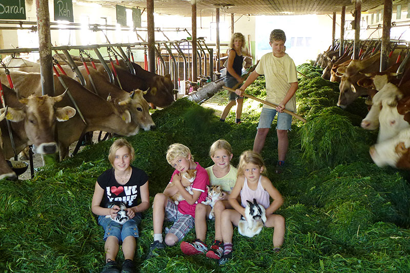 Urlaub Auf Dem Bauernhof | Missen-Wilhams - Luftkurort Im Herzen Des verwandt mit Bilder Kinder Urlaub