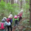 Waldtag Der Vorschüler Mit Dem Förster Und Einer Waldpädagogin | Kath in Kinder Bilder Wald