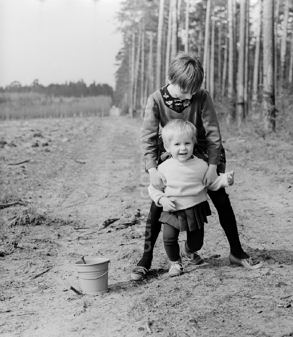 Wernigerode: Zwei Kleine Kinder Spielen Am Waldrand Im Sand In innen Kinder Bilder,