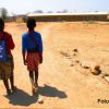 Wie Viele Kinder Gehen Im Südlichen Afrika Zur Schule bestimmt für Viele Kinder Bilder