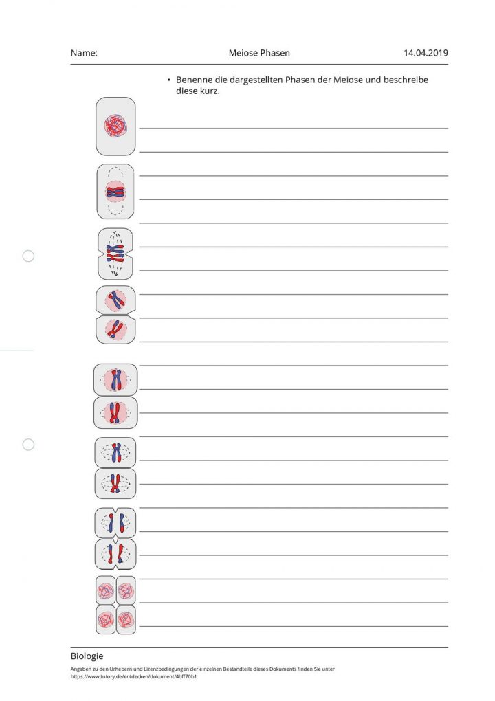 phasen der anderung arbeitsblatt