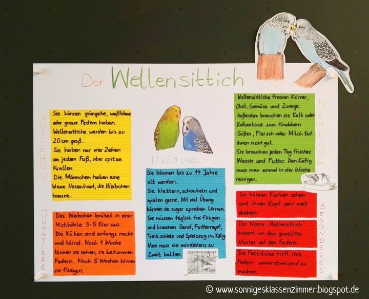 arbeitsblatt haustiere 2 klasse