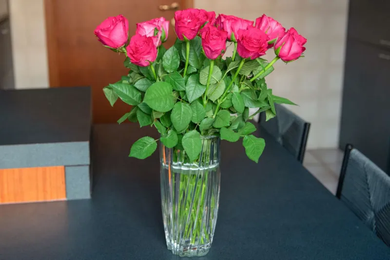 Sieger Unruhig Vergangenheit wie lange halten rosen in der vase Hebel