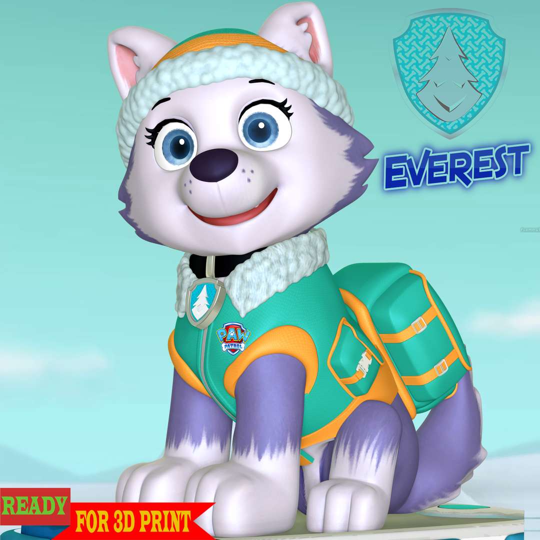 CO3D - Everest - Paw Patrol