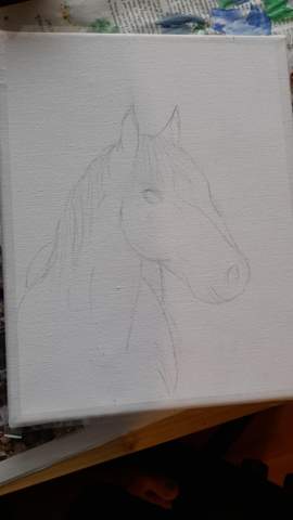 Wie findet ihr dieses pferdeportrait? (Pferde, malen, Acryl)
