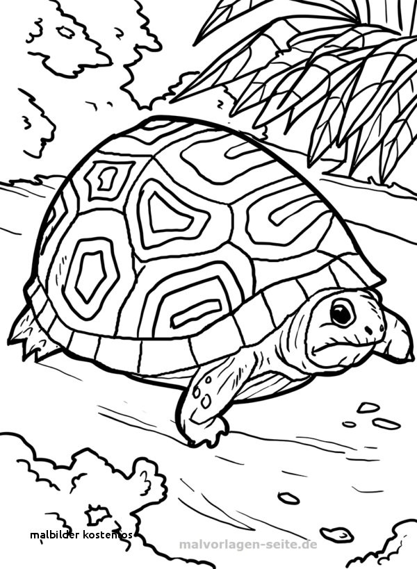 99 Inspirierend Hase Malen Vorlage Bilder | Kinder Bilder