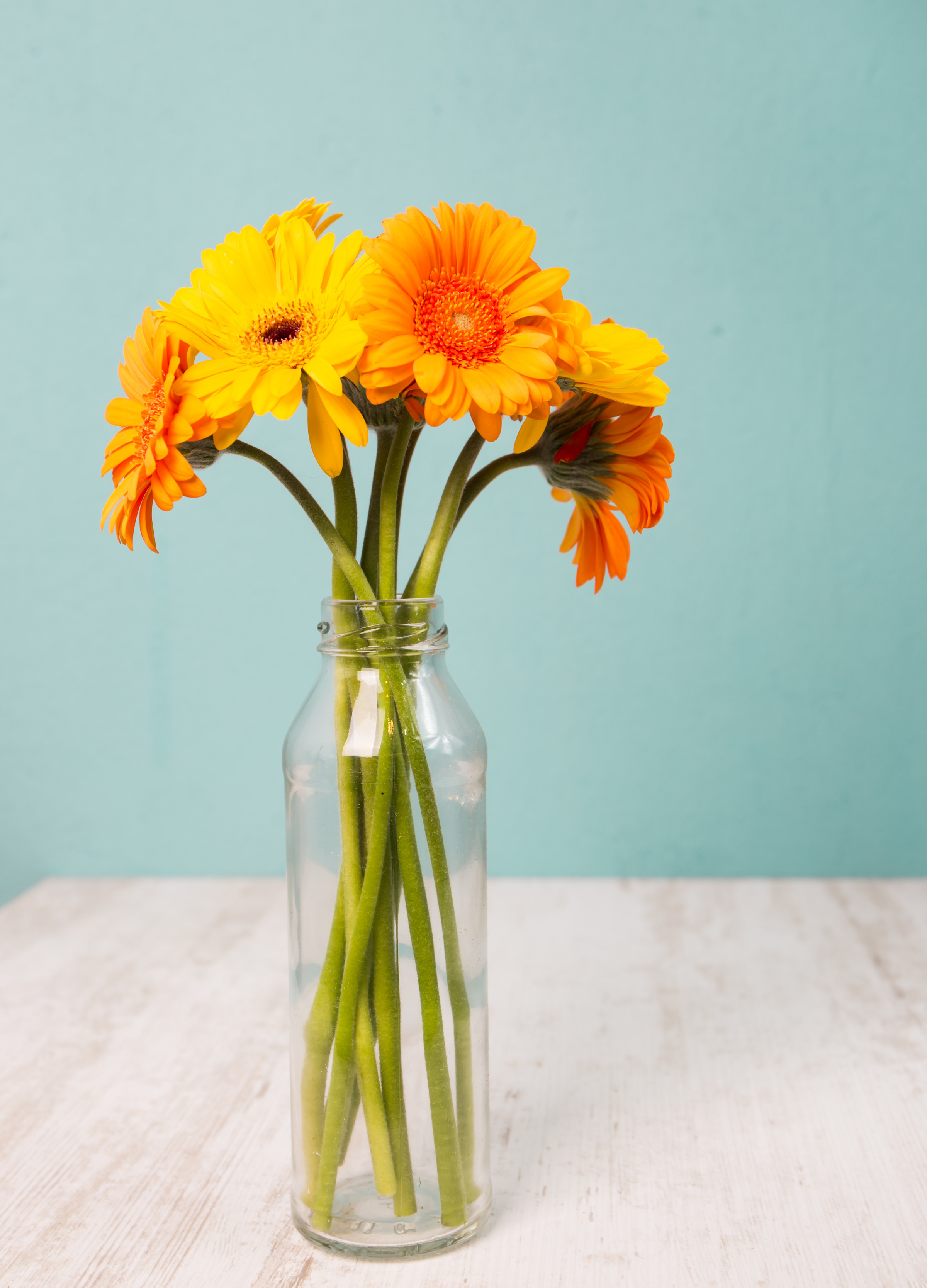 Blumen und ihre unterschiedlichen Bedeutungen