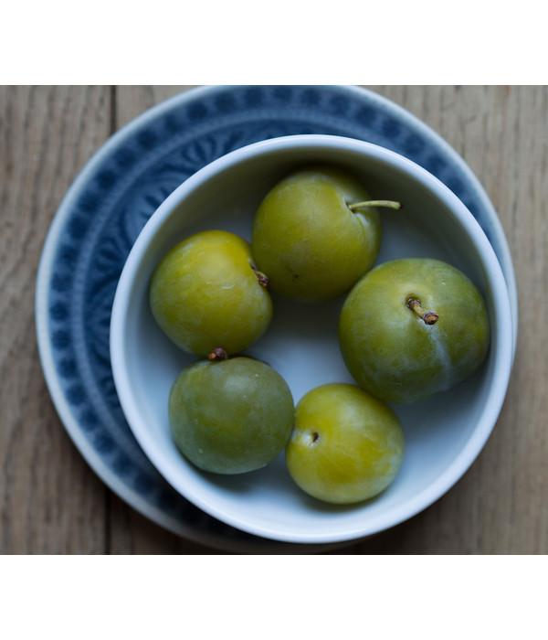 Reneklode 'Große Grüne Reneklode' | Dehner