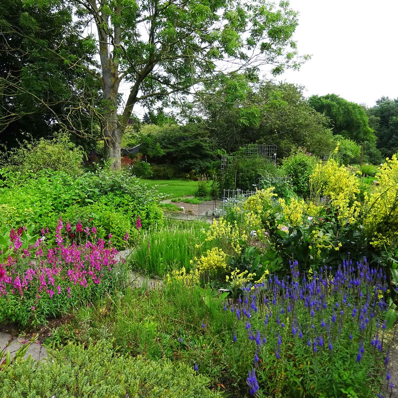 Botanischer Garten der Universität Kiel - ein Landschaftspark I Wiesenwohl