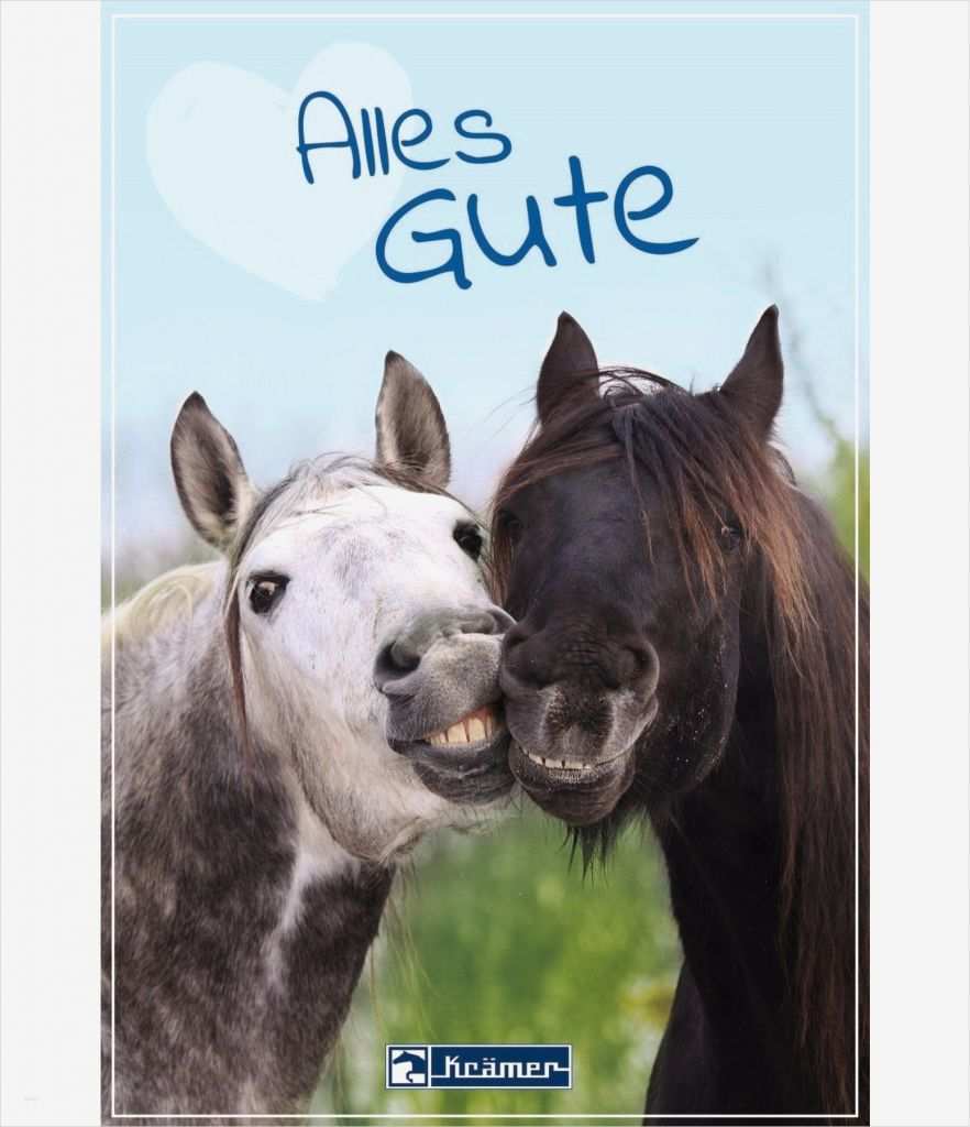 Gutschein Reiten Vorlage Wunderbar Geschenkgutschein Zum Ausdrucken