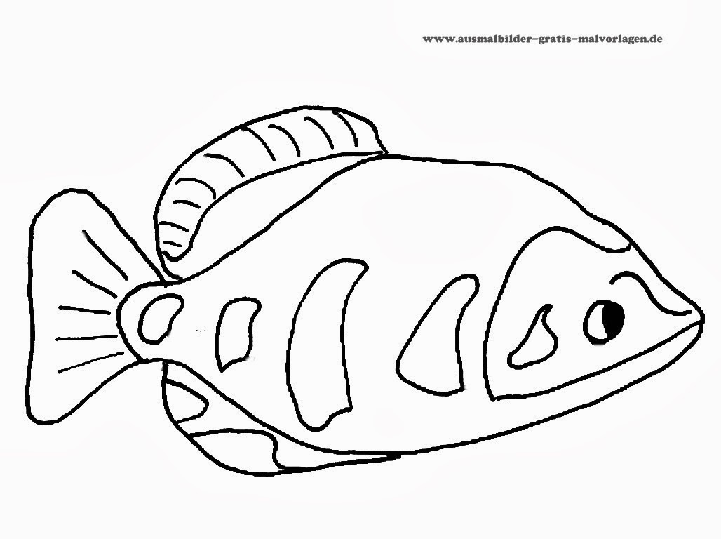 MALVORLAGEN FISCHE