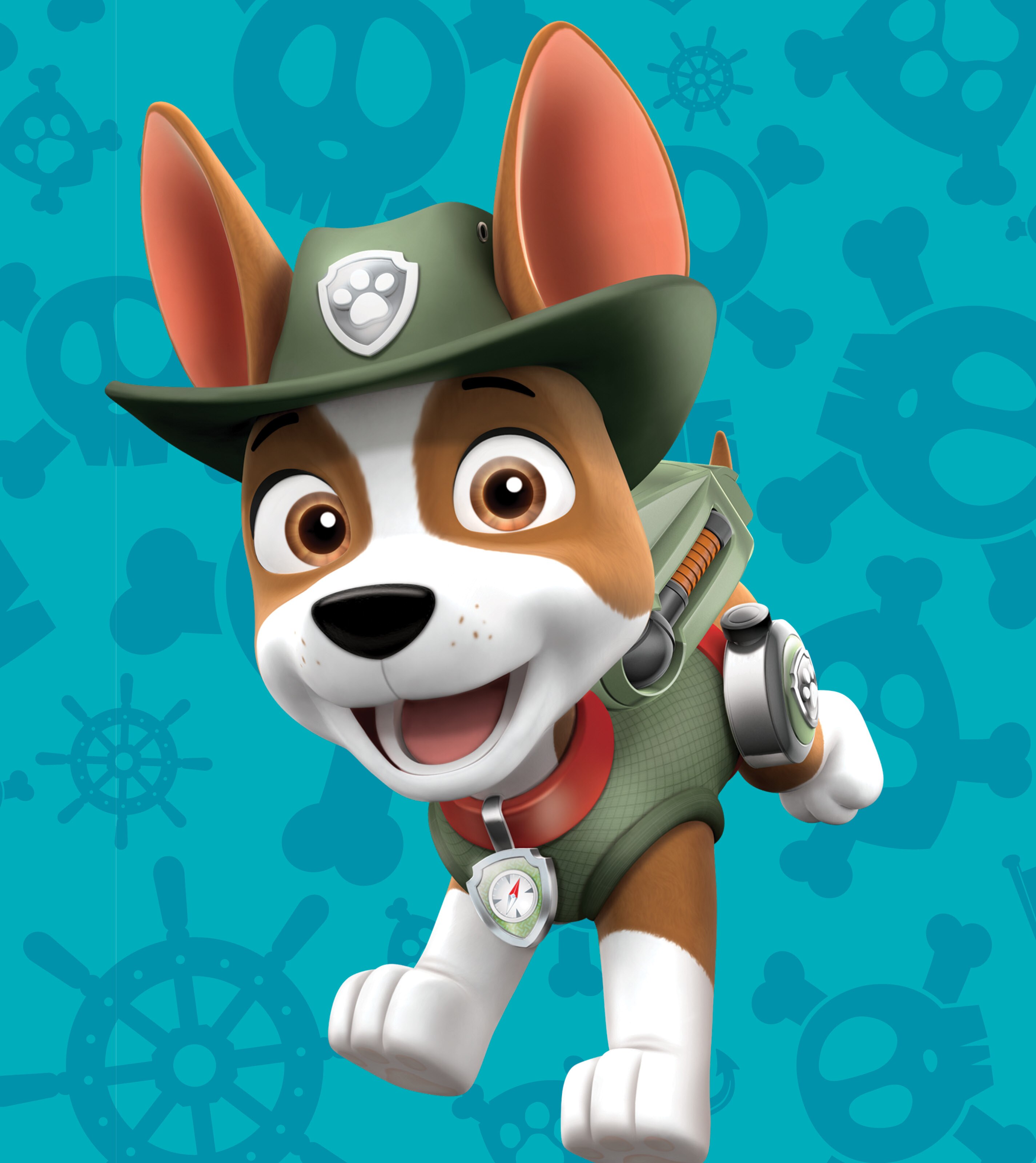 What Kind Of Dogs Are In Paw Patrol