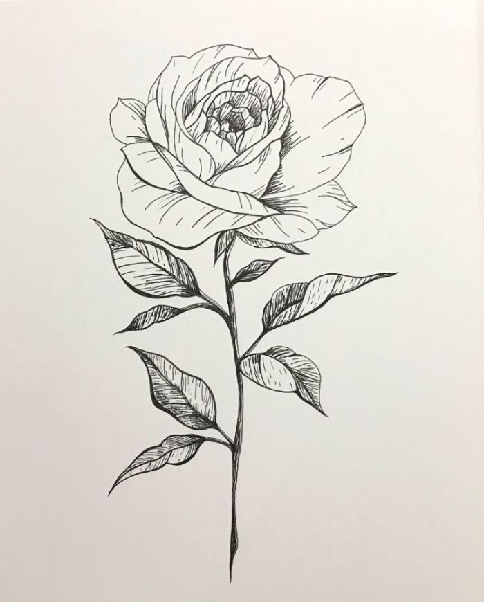 1001 + Ideen Und Inspirationen Für Schöne Bilder Zum Malen in Bleistift Blumen Zeichnen