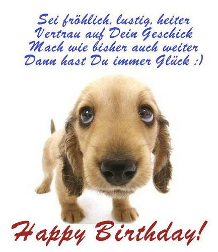 1Pic4U  Alles Gute Geburtstag, Geburtstag, Geburtstag Wünsche bestimmt für Geburtstagswünsche Mit Hund