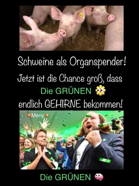 39 Grüne Schande-Ideen  Politik, Deutsche Politik, Politik Deutschland für Grünen Witze Bilder