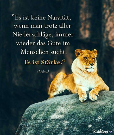 43 Löwen Sprüche-Ideen  Sprüche, Löwensprüche, Löwe Zitate ganzes Frau Löwen Sprüche