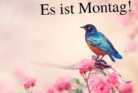 49 Guten Morgen Montag Sprüche &amp; Bilder  Montag Grüße  2021 in Guten Morgen Montag Bilder