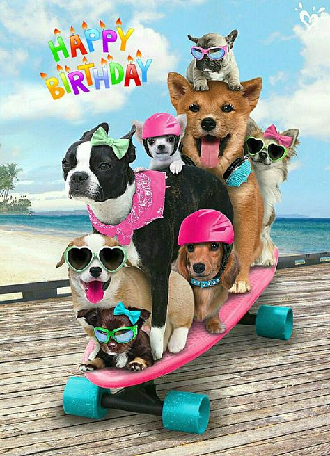 79 Geburtstagsglückwünsche Hund-Ideen In 2021  Geburtstagsglückwünsche über Geburtstagswünsche Hund Kostenlos