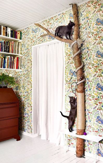 9 Katzenwand Bauen-Ideen  Katzen Wand, Katzenzimmer, Katzenmöbel bei Katzen Wand Ideen