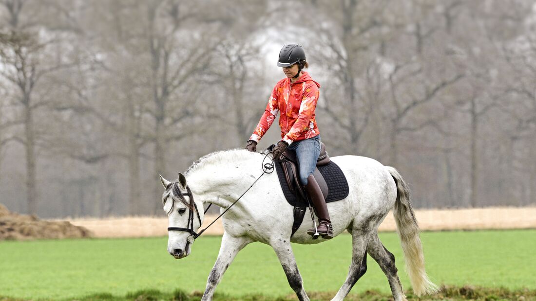 Was Sie beim Ausreiten gegen die natürliche Schiefe tun können | cavallo.de