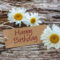 Alles Gute Zum Geburtstag Blumen - Etsy Bild verwandt mit Blumen Alles Gute Zum Geburtstag