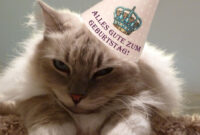 Alles Gute Zum Geburtstag Zu Den Katzen Bildern - 50 Grußkarten Gratis über Geburtstagswünsche Mit Katzen