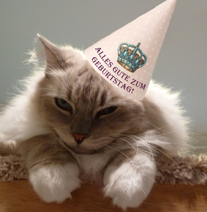 Alles Gute Zum Geburtstag Zu Den Katzen Bildern - 50 Grußkarten Gratis über Geburtstagswünsche Mit Katzen