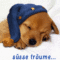 Bild Auf Mybeautypics.de  Hond Wallpaper, Goede Nacht, Grappig für Schöne Pfingsten Gif