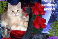 Bildergebnis Für Liebe Abendgrüße Gif Good Night, Cats, Animals, Google ganzes Schöne Tag Gif