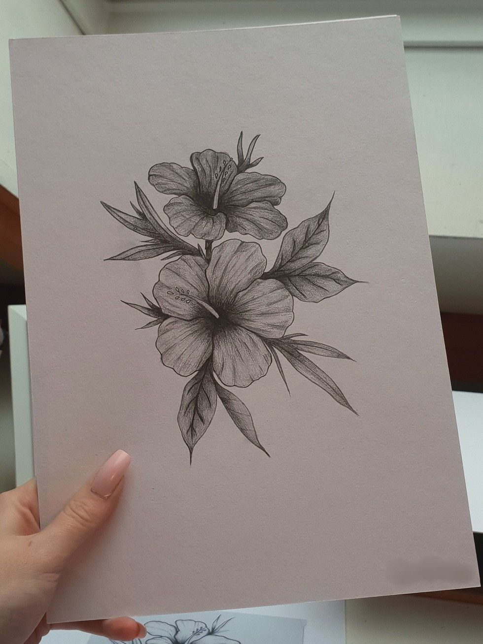 Blumen Hibiskus Zeichnung Drawing  Hibiskus Zeichnung, Blumen bei Bleistift Blumen Zeichnen