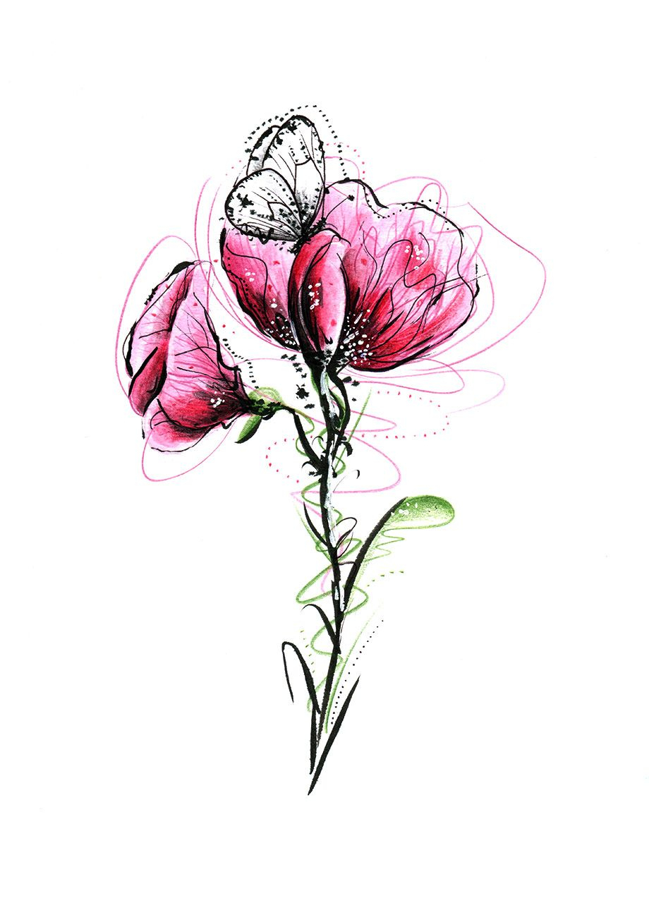 Blüte Zeichnung Bleistift : Hibiscus - Download Von Über 52 Million ganzes Bleistift Blumen Zeichnen