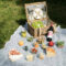 Checkliste Für Das Perfekte Picknick Mit 11 Einfachen Rezepten bestimmt für Picknick Im Freien