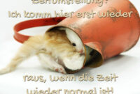 Coolphotos.de - Zeitumstellung? Ich Komm Hier Erst Wieder Raus, Wenn bestimmt für Lustige Bilder Zur Zeitumstellung Winterzeit