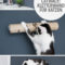 Diy Catwalk - Kletterwand Für Katzen Selber Bauen. Selbstgemacht  Do für Katzen Wand Ideen