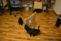 Diy: Katzen-Kletterwand Mit Ikea-Regalen ganzes Katzen Kletterwand Ikea