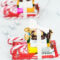 Diy Süßigkeiten Schlitten Basteln - Schnelle Last Minute Geschenkidee in Weihnachtsgeschenke Für Freunde