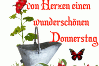 Donnerstag Bilder Gif Norden, Treasure Boxes, Jackpot, Giphy, Scenic für Donnerstag Abend Gif