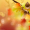 Download Bilder Für Das Handy: Hintergrund, Herbst, Blätter, Bilder mit Handy Hintergrundbilder Herbst