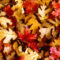 Download Bilder Für Das Handy: Hintergrund, Herbst, Blätter, Kostenlos. 463 innen Handy Hintergrundbilder Herbst
